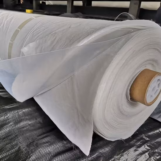 Feuille de revêtement d'étang d'eau en plastique de géomembrane imperméable de HDPE/Membrane d'étanchéité en polyéthylène/géocomposite de Drainage