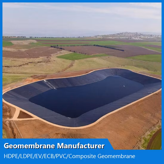 Fabricant personnalisé de géomembrane texturée/composite HDPE/LDPE/PE/EV/ECB/PVC pour l'aquaculture/ferme piscicole/crevettes/étang/barrage/décharge/exploitation minière/sel/revêtement de résidus