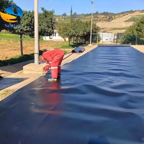 Membrane HDPE utilisée pour le revêtement de bassin