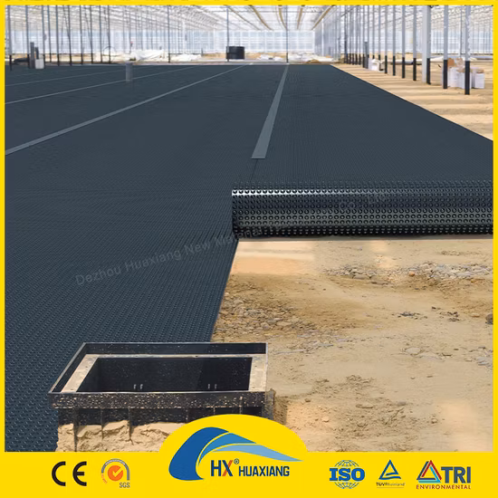 0.2mm/0.5mm/1.0mm/2.0mm revêtement de feuille de plastique noir CE/ASTM Viring géomembrane d'étanchéité en PEHD pour l'agriculture/barrage/décharge/lac/biogaz/projet d'aquaculture