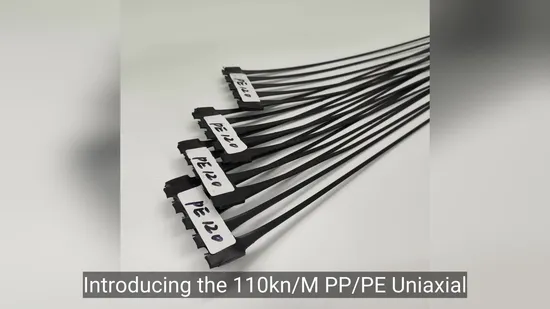 Chuangwan nouveaux matériaux 30kn soudés géogrille uniaxiale pour animaux de compagnie enduits de polymère